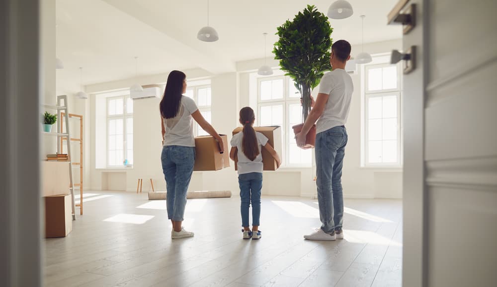 Should You Pack Yourself or Use Removal Packing Support?